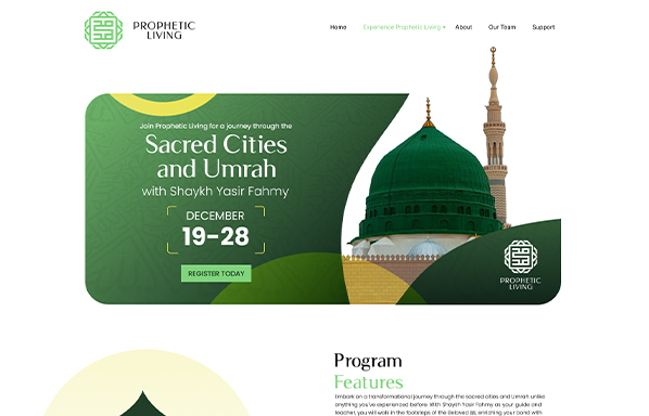 Image hover effect image