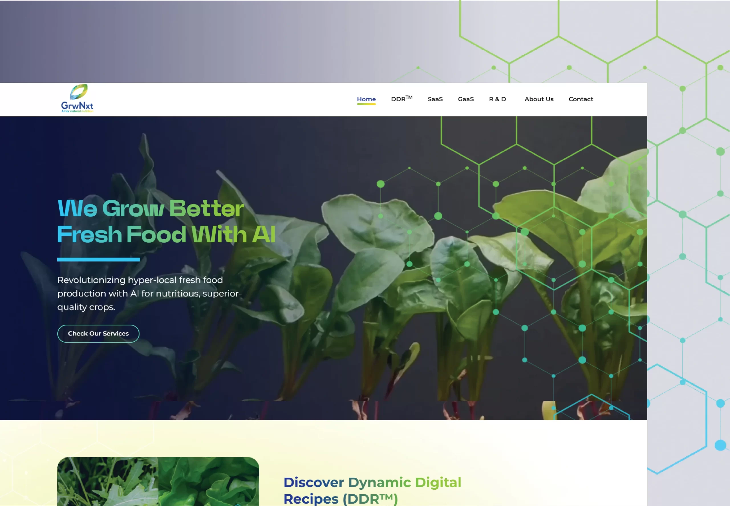 Image hover effect image