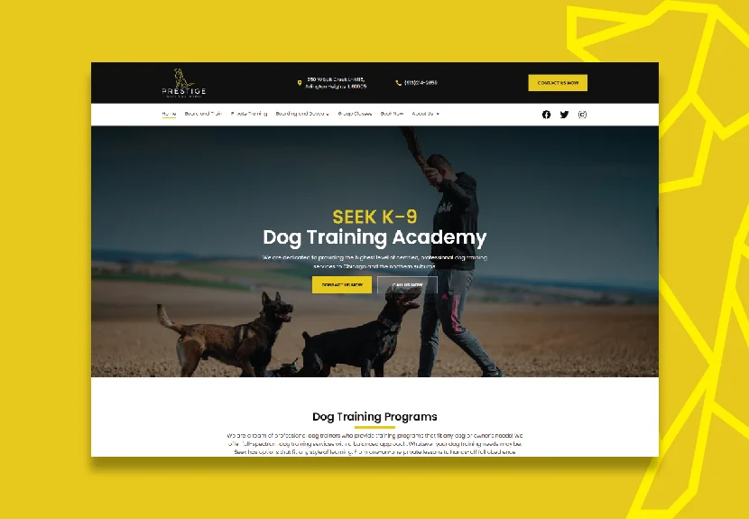 Image hover effect image