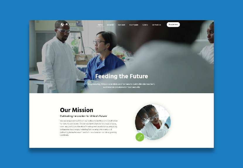 Image hover effect image